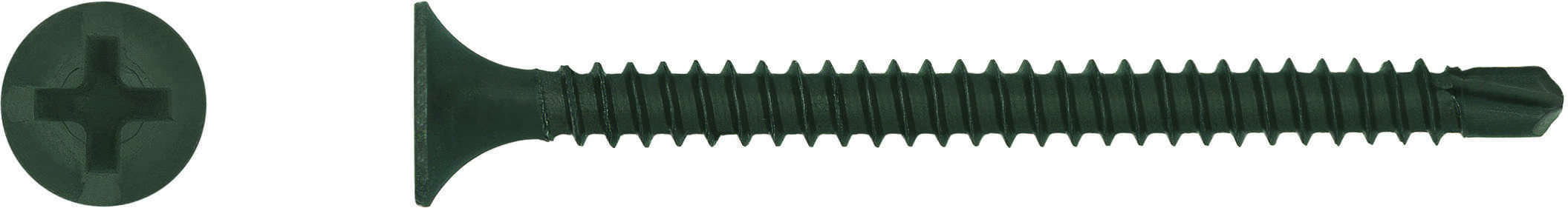 WS